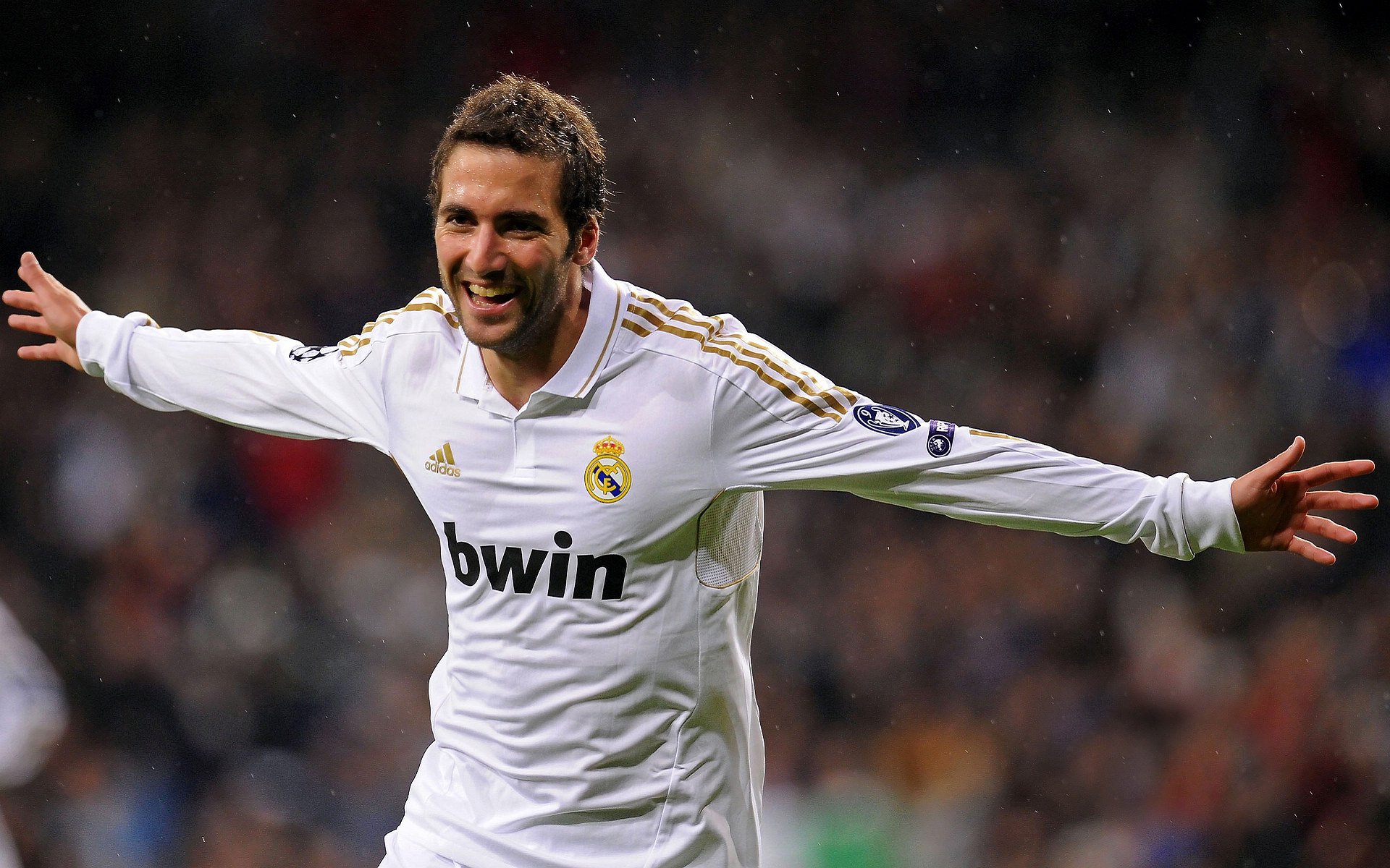 体育赛事年度报告