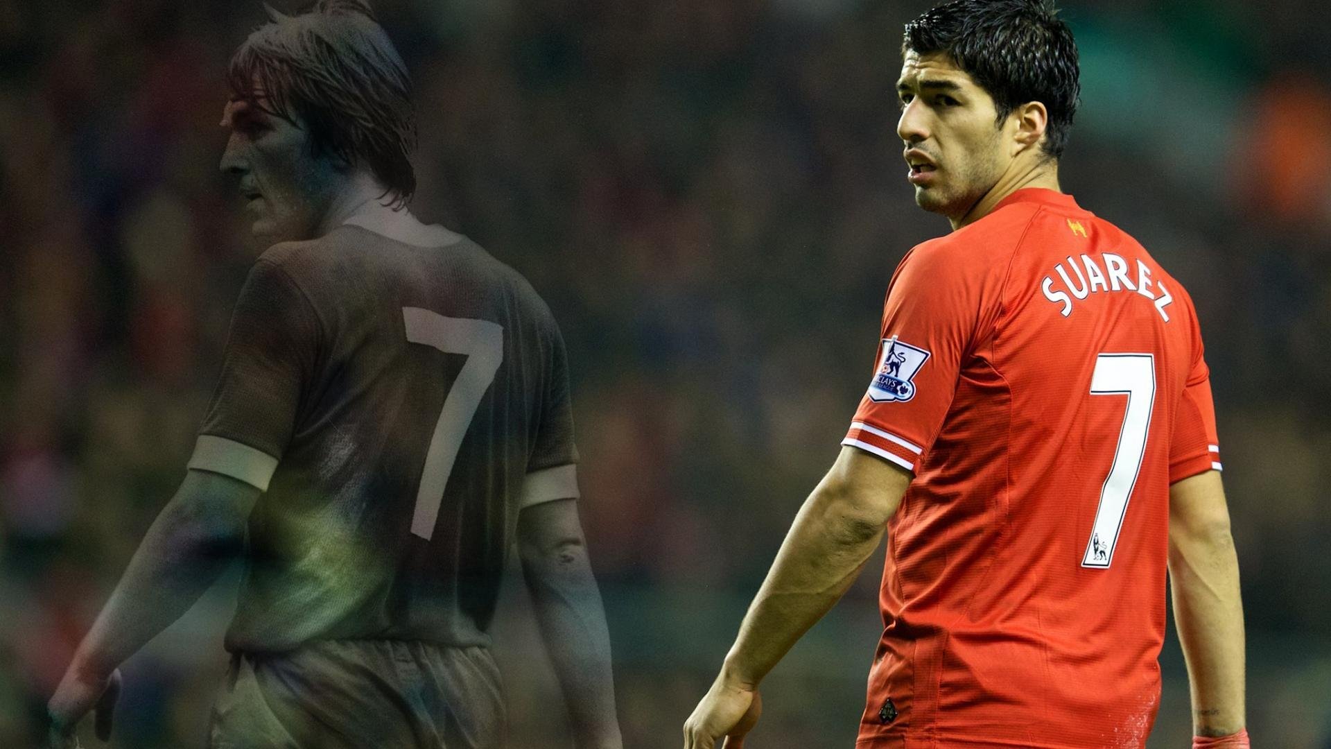 游泳蝶泳项目成绩持续提升